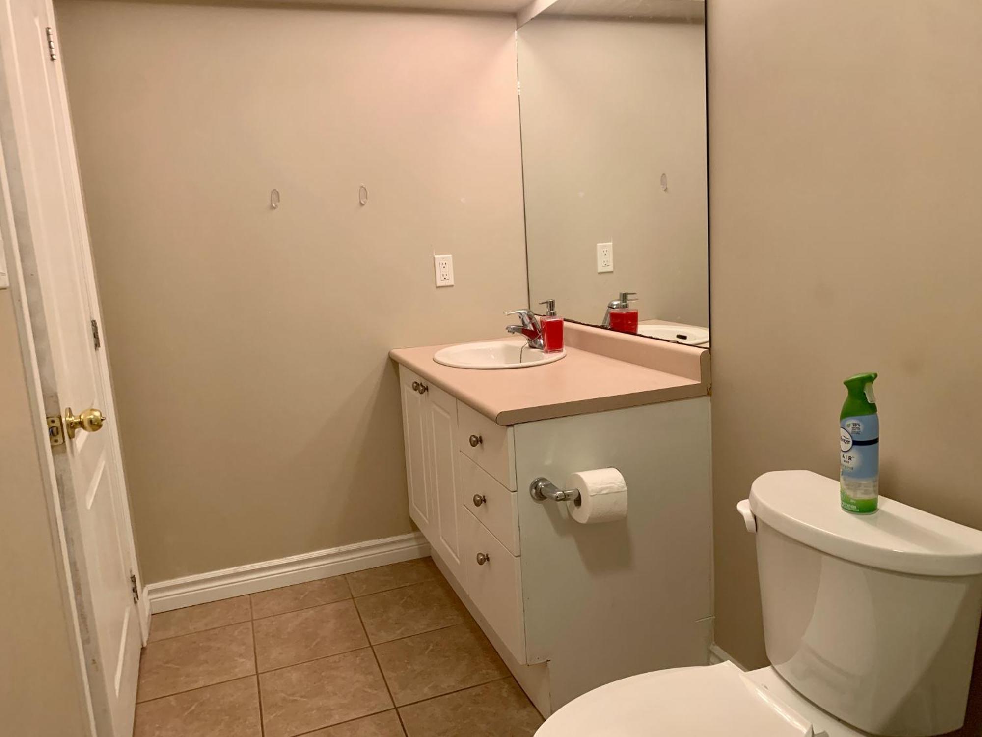 1 Room In A Cozy And Beautiful Basement Guelph Extérieur photo