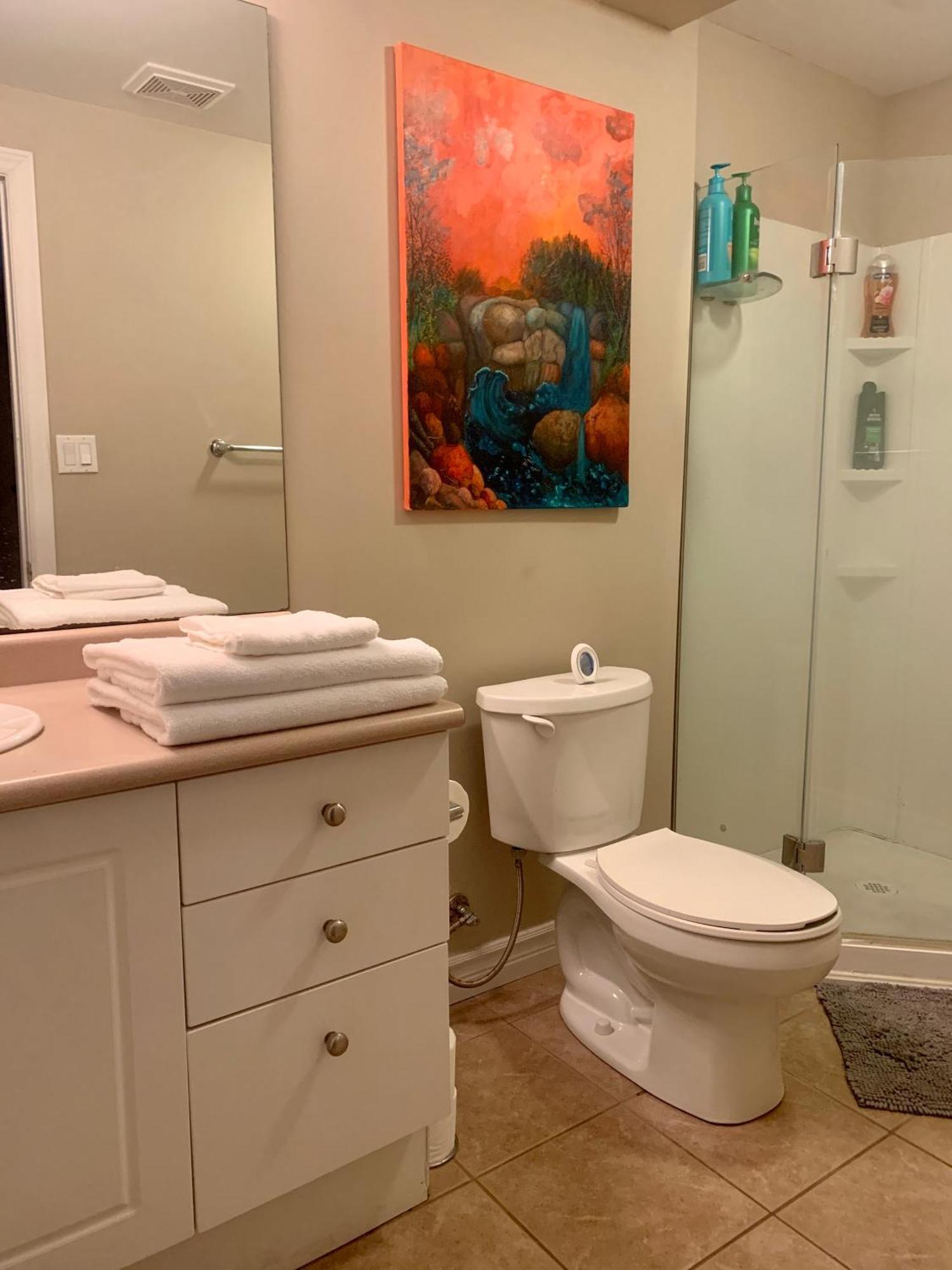 1 Room In A Cozy And Beautiful Basement Guelph Extérieur photo